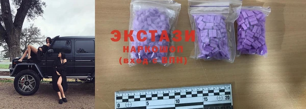 стаф Богородск