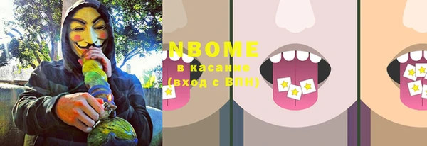стаф Богородск