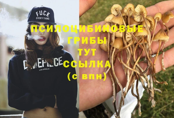 марки lsd Белокуриха