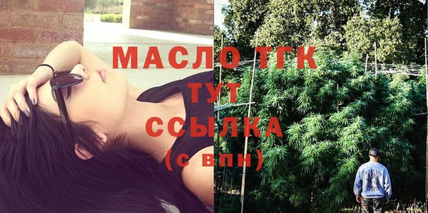 стаф Богородск