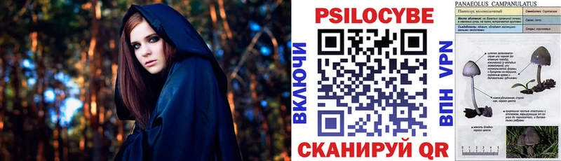 Псилоцибиновые грибы GOLDEN TEACHER наркотики Верхний Тагил